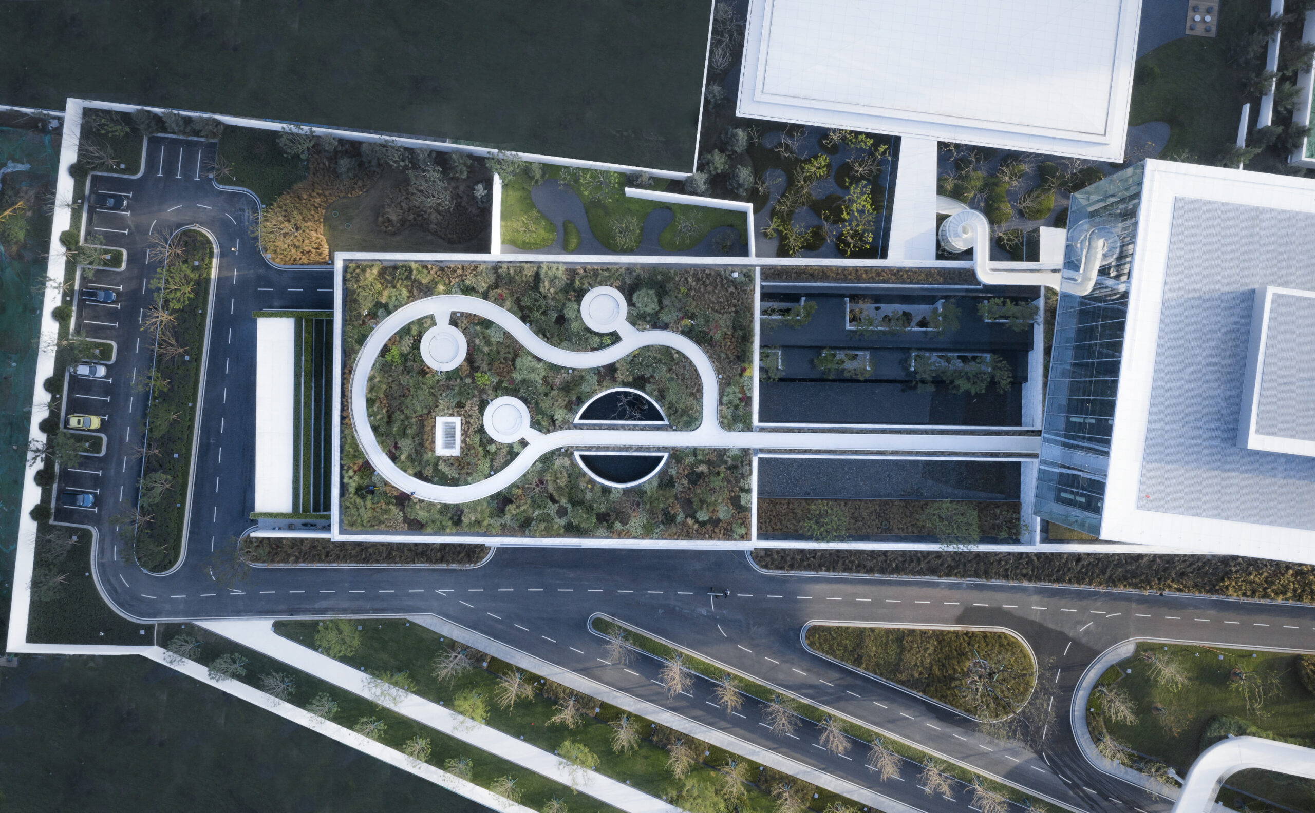 Ribbon Dance Park TROP